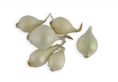 White Pearl Onion (Avg 12oz 16oz) 1 BAG